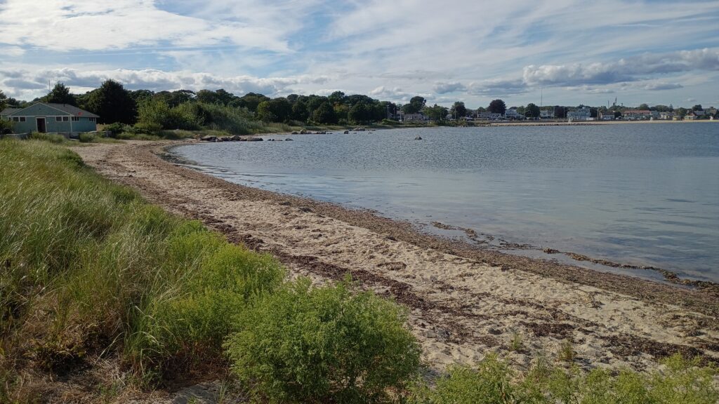 a body of water with grass and trees around it (MyCoast AI)
