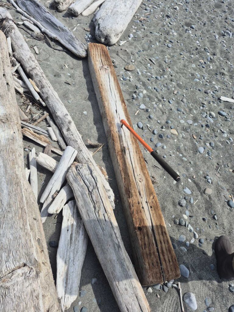 a wooden plank on the ground (MyCoast AI)