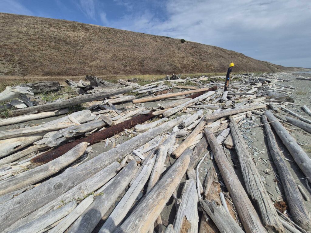a close-up of a wooden fence (MyCoast AI)