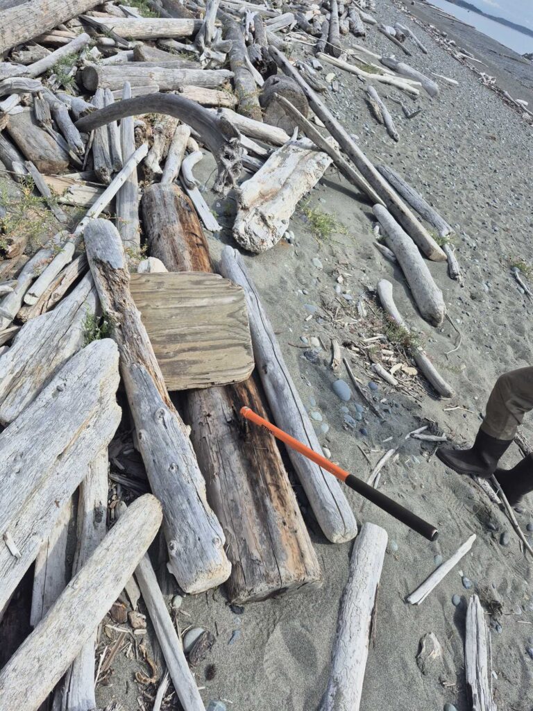 a pile of wood and sticks (MyCoast AI)