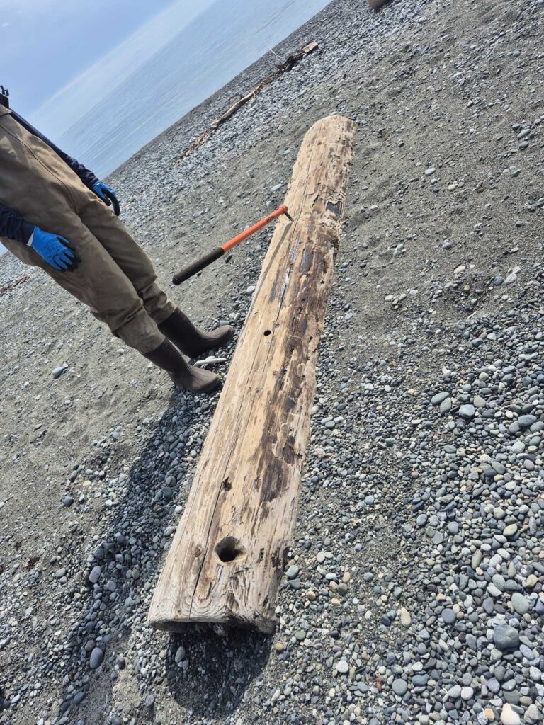 a person with a hammer on a wooden post on a rocky beach (MyCoast AI)