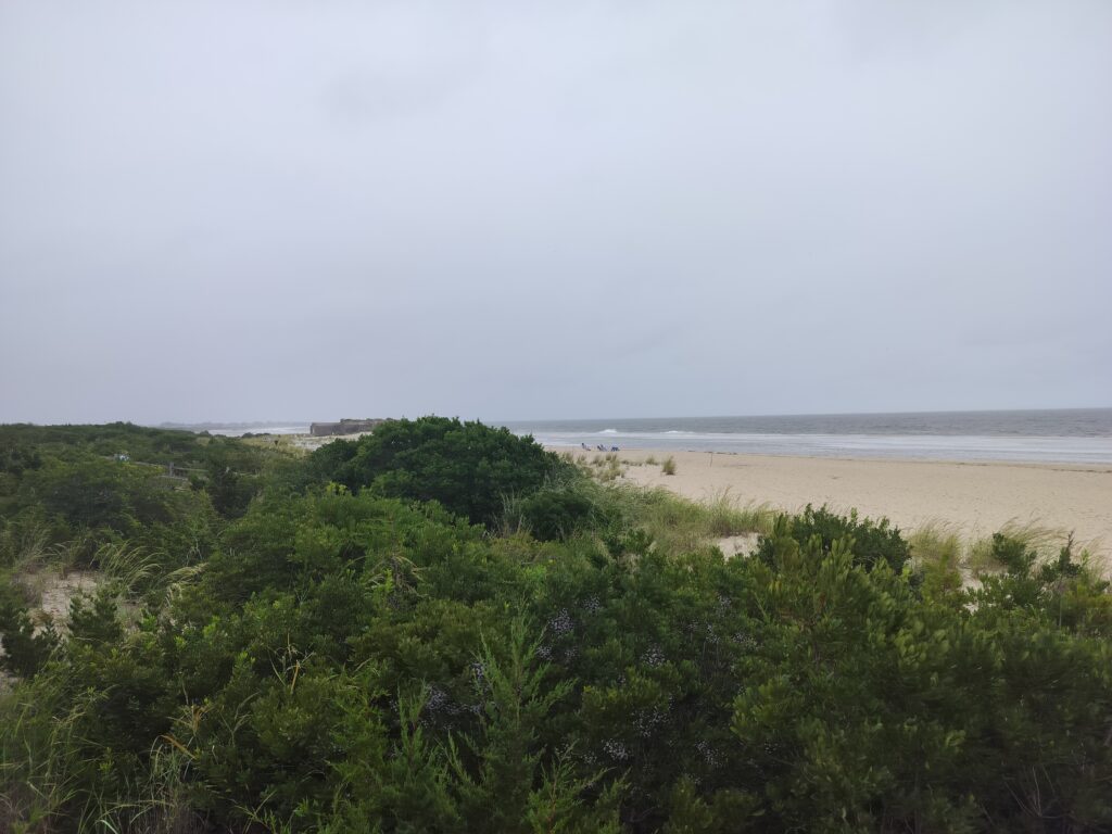 a beach with trees and a body of water in the background (MyCoast AI)