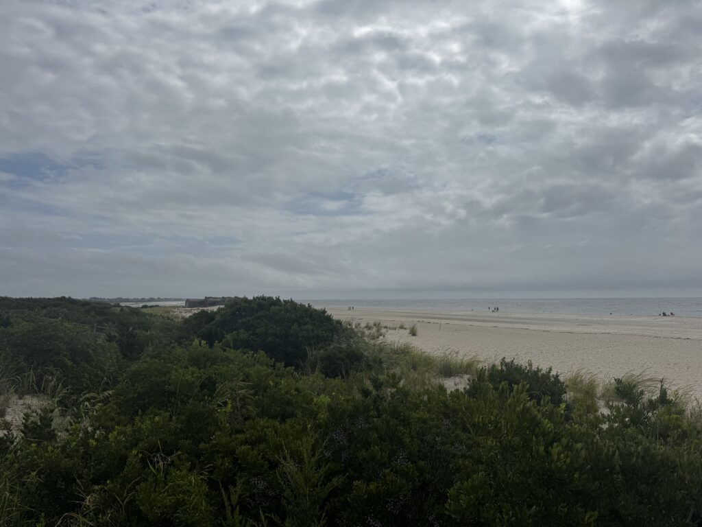 a beach with trees and a body of water in the background (MyCoast AI)