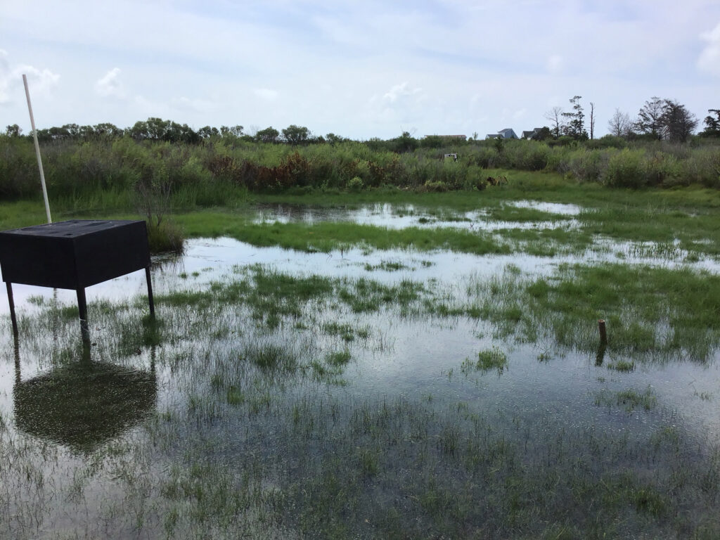 a marshy area with a shelter (MyCoast AI)