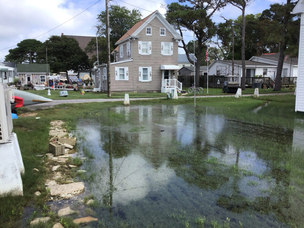 a flooded street with houses (MyCoast AI)