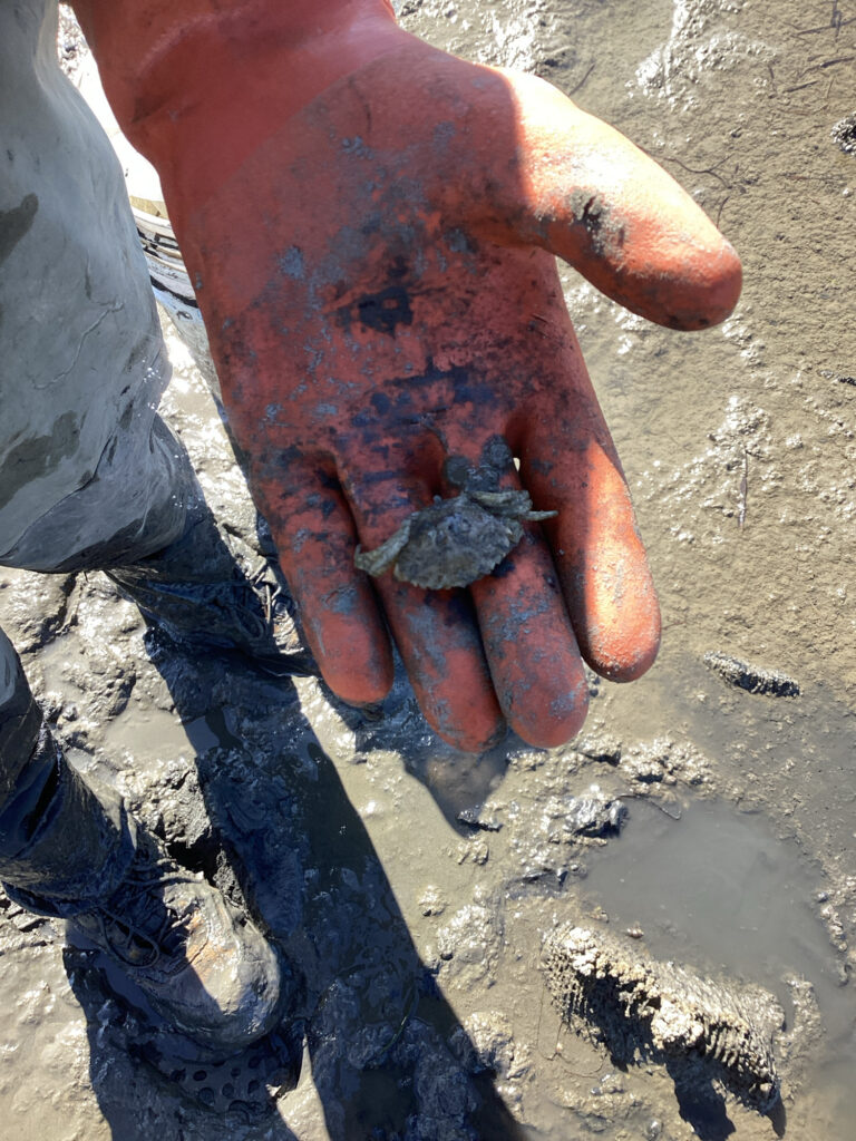 a person's hand with blood on it (MyCoast AI)