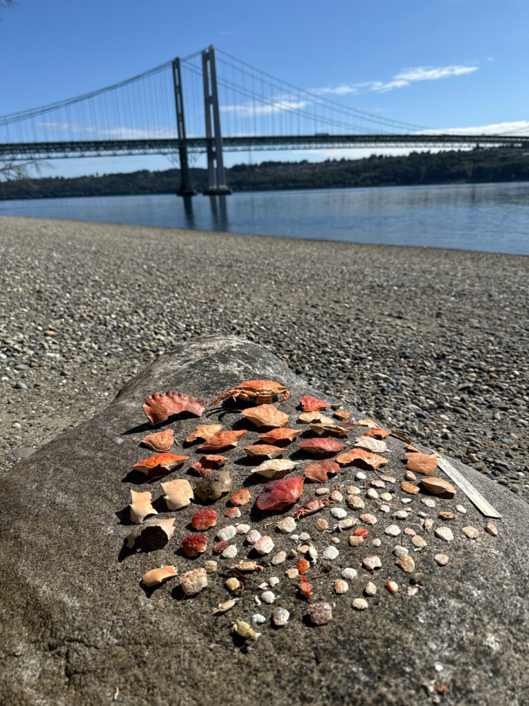 a bridge over a body of water (MyCoast AI)