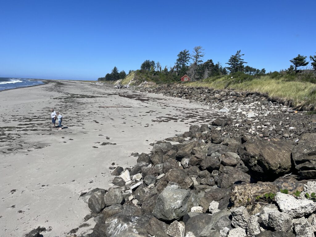 people walking on a beach (MyCoast AI)