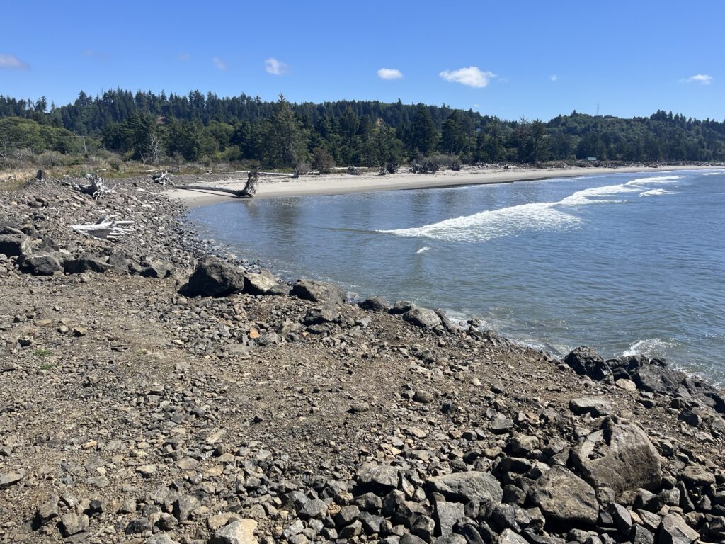 a rocky beach with trees in the background (MyCoast AI)