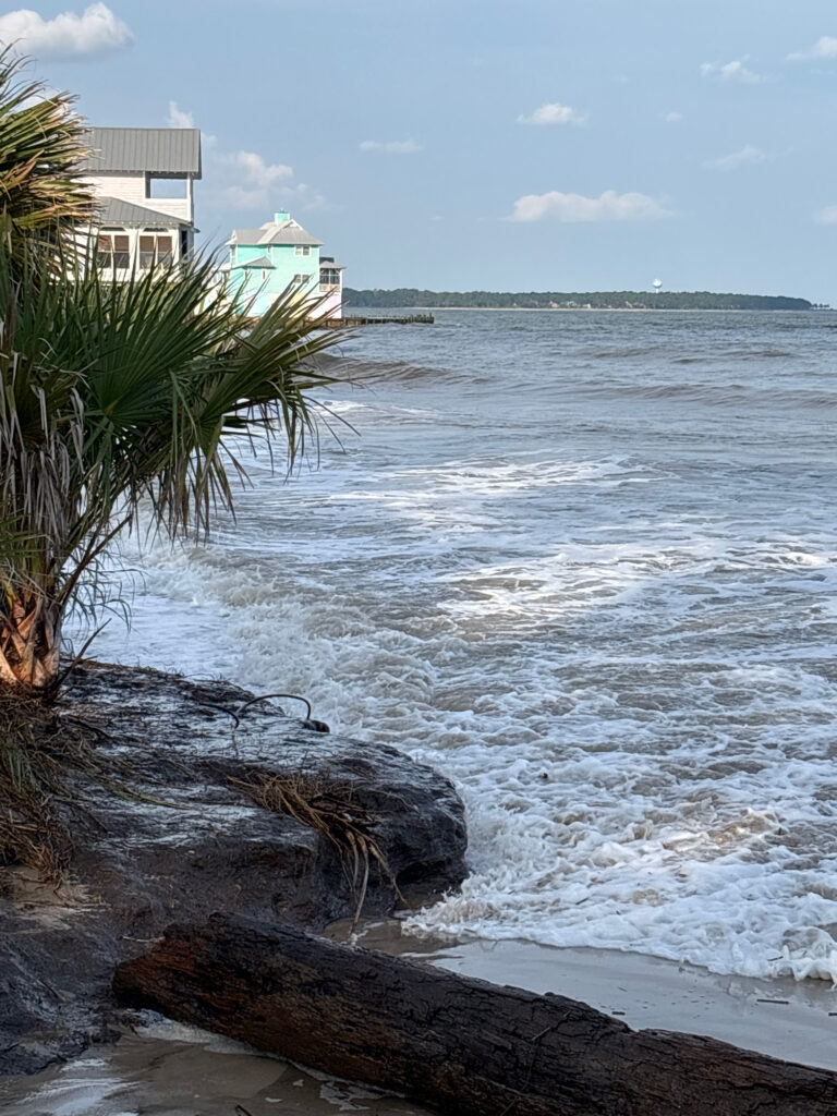 a body of water with a building in the background (MyCoast AI)