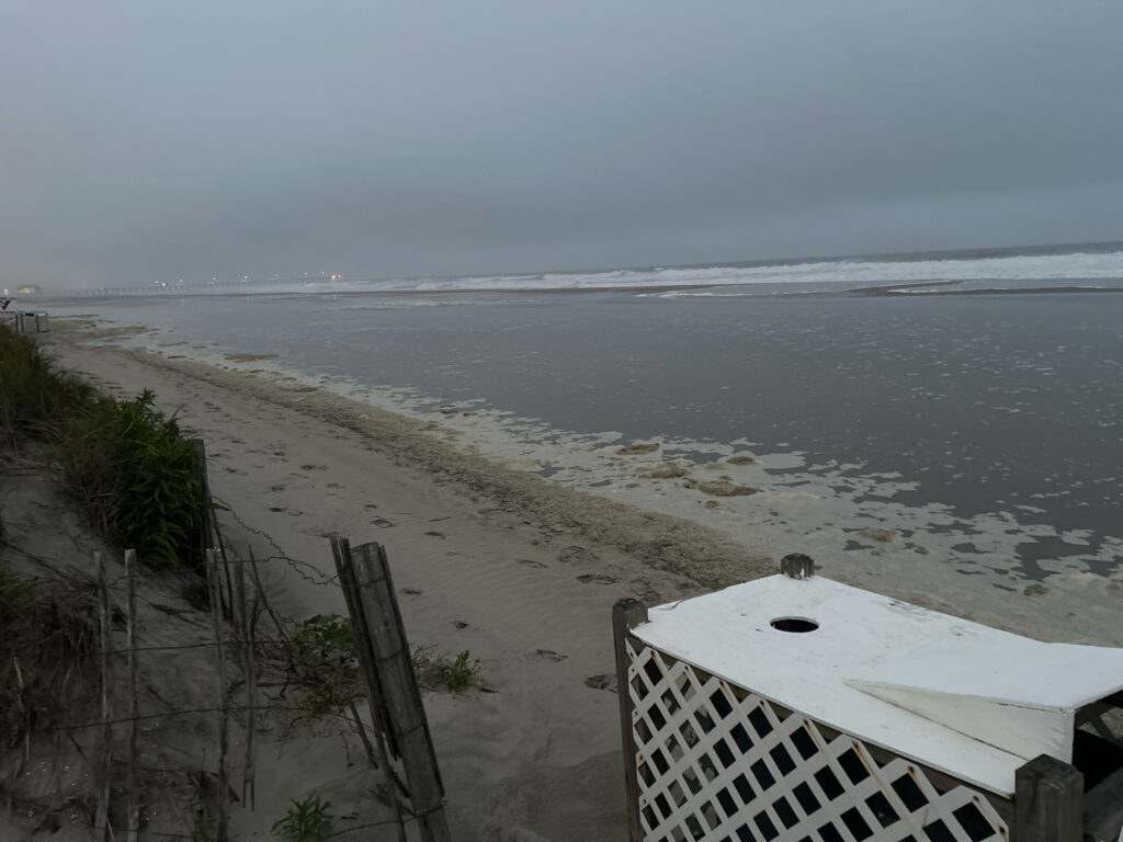 a beach with a white boat (MyCoast AI)