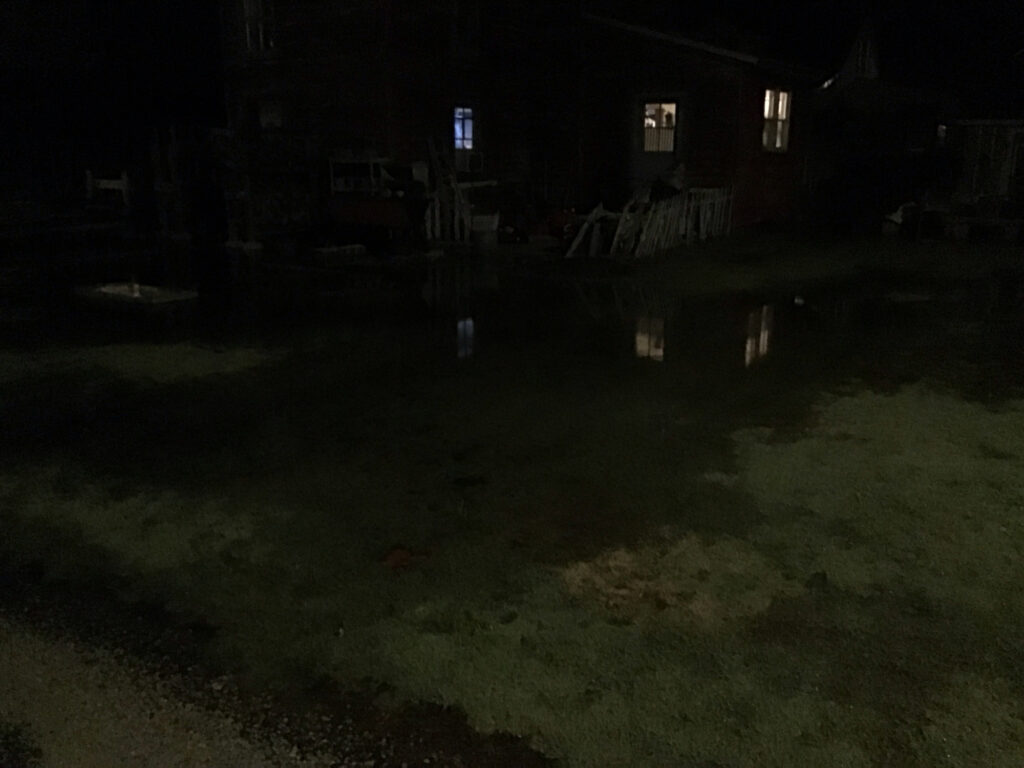 a dark yard at night (MyCoast AI)