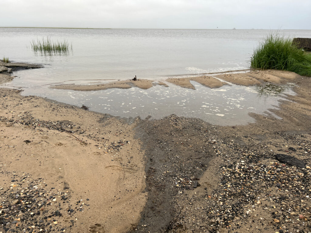 a sandy beach with a body of water in the background (MyCoast AI)