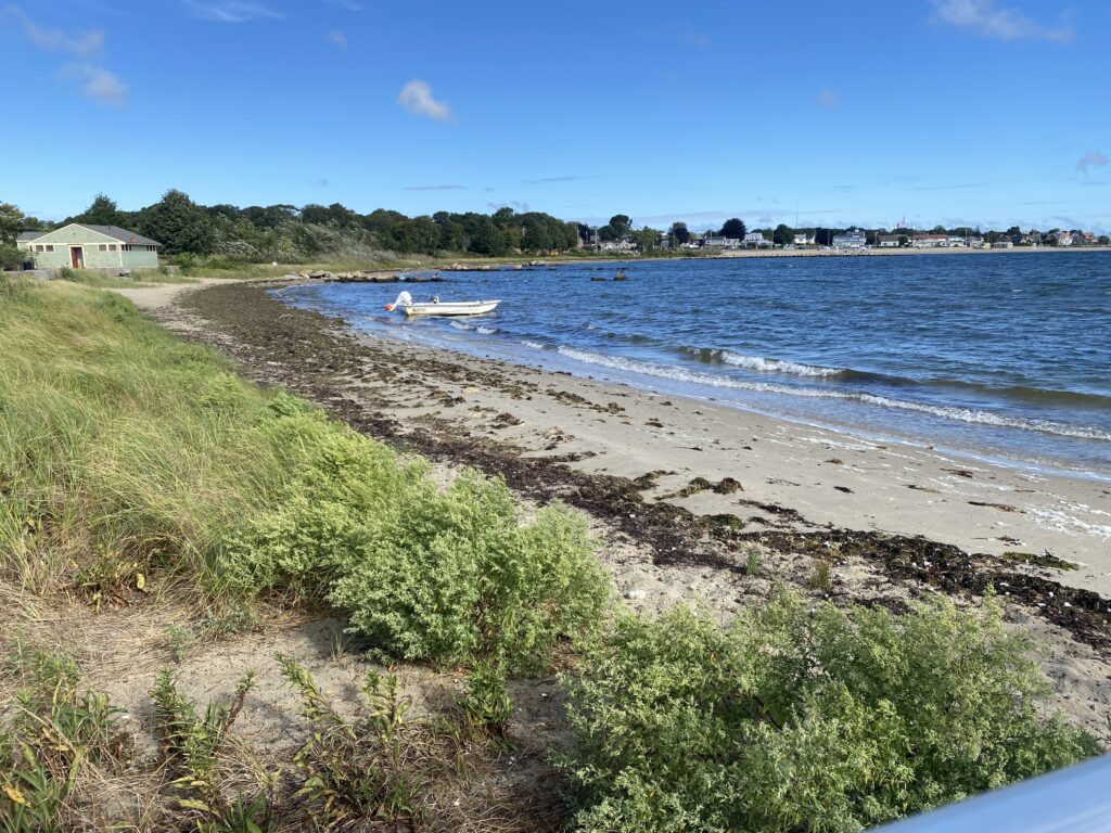 a beach with a boat in the water (MyCoast AI)