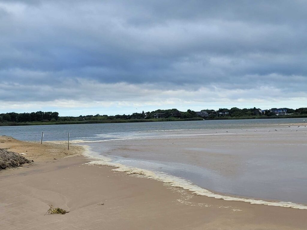a beach with a body of water (MyCoast AI)