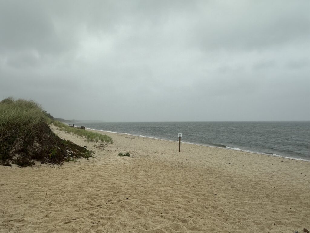 a sandy beach with a body of water in the background (MyCoast AI)