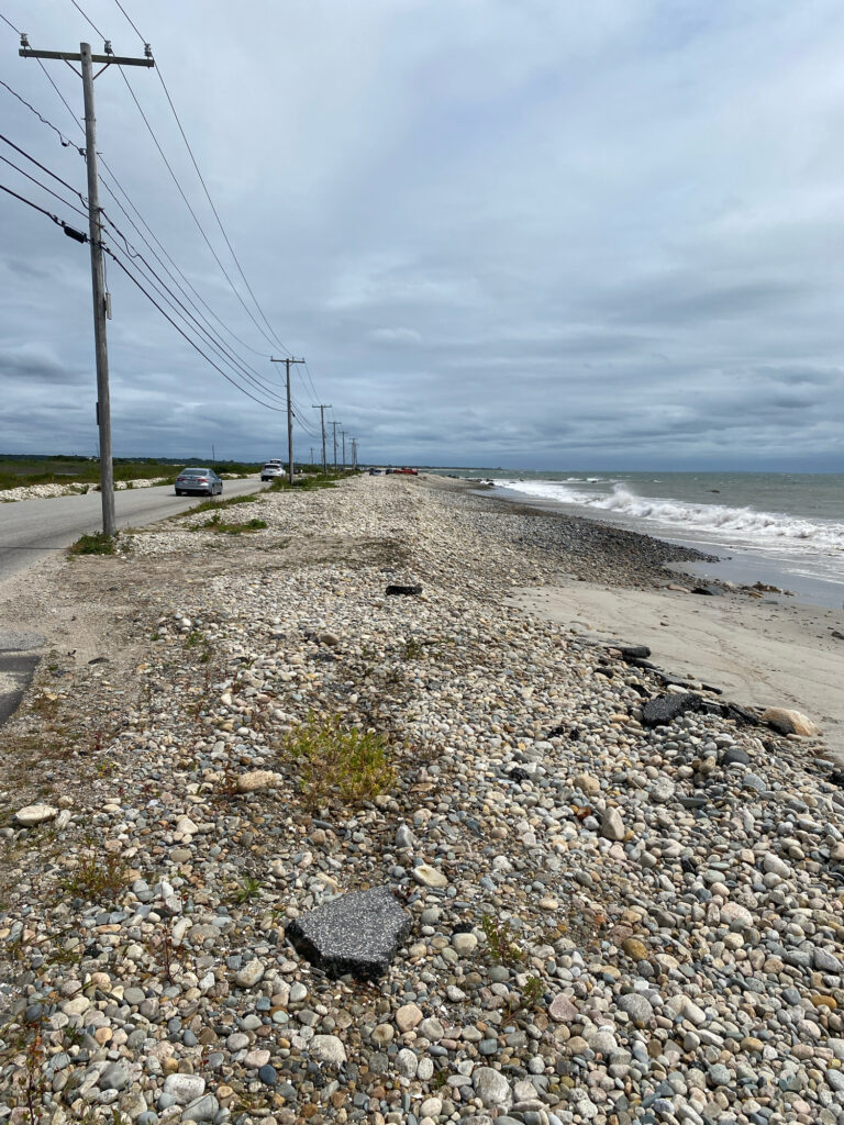 a rocky beach with telephone poles (MyCoast AI)