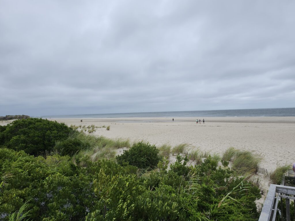a beach with people walking on it (MyCoast AI)