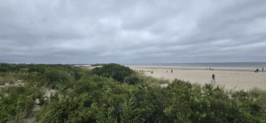 a group of people walking on a beach (MyCoast AI)
