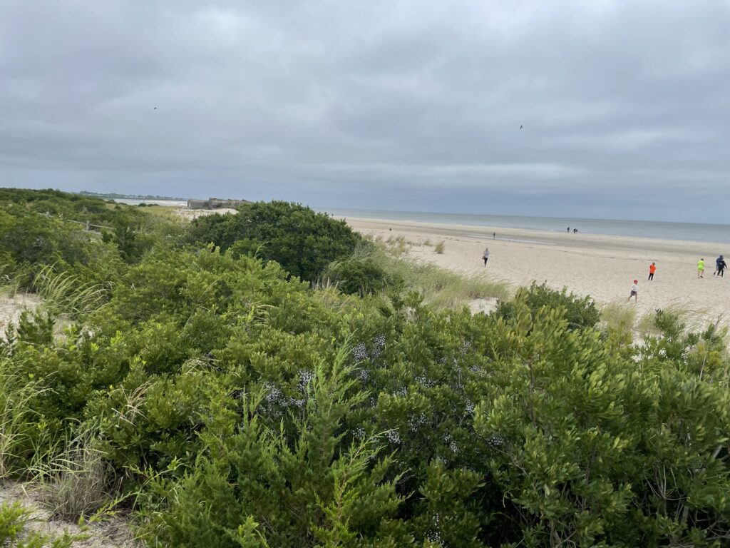 a group of people walking on a beach (MyCoast AI)