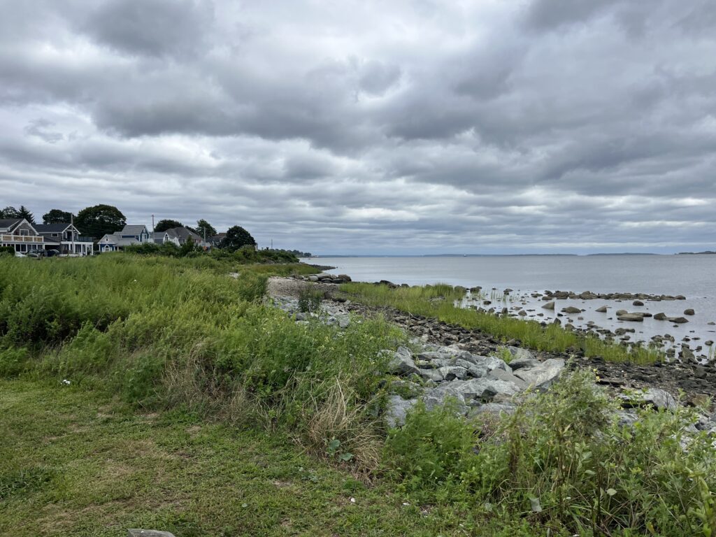 a grassy area next to a body of water (MyCoast AI)