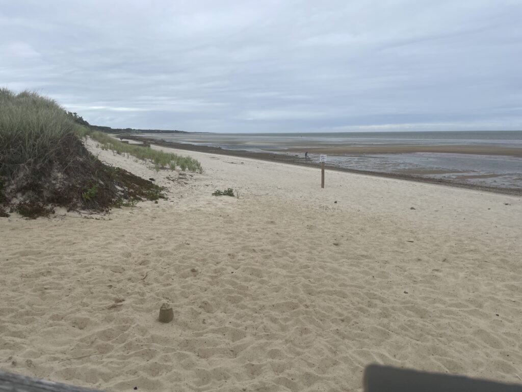 a sandy beach with a fence (MyCoast AI)