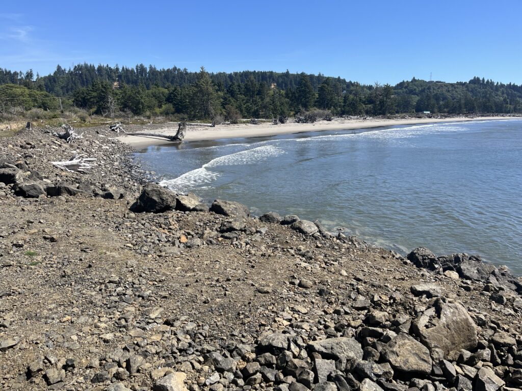 a rocky beach with trees in the background (MyCoast AI)
