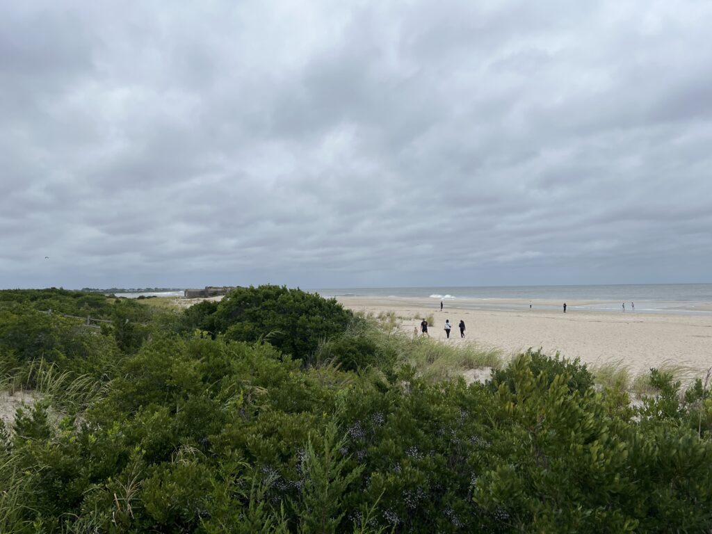a group of people walking on a beach (MyCoast AI)