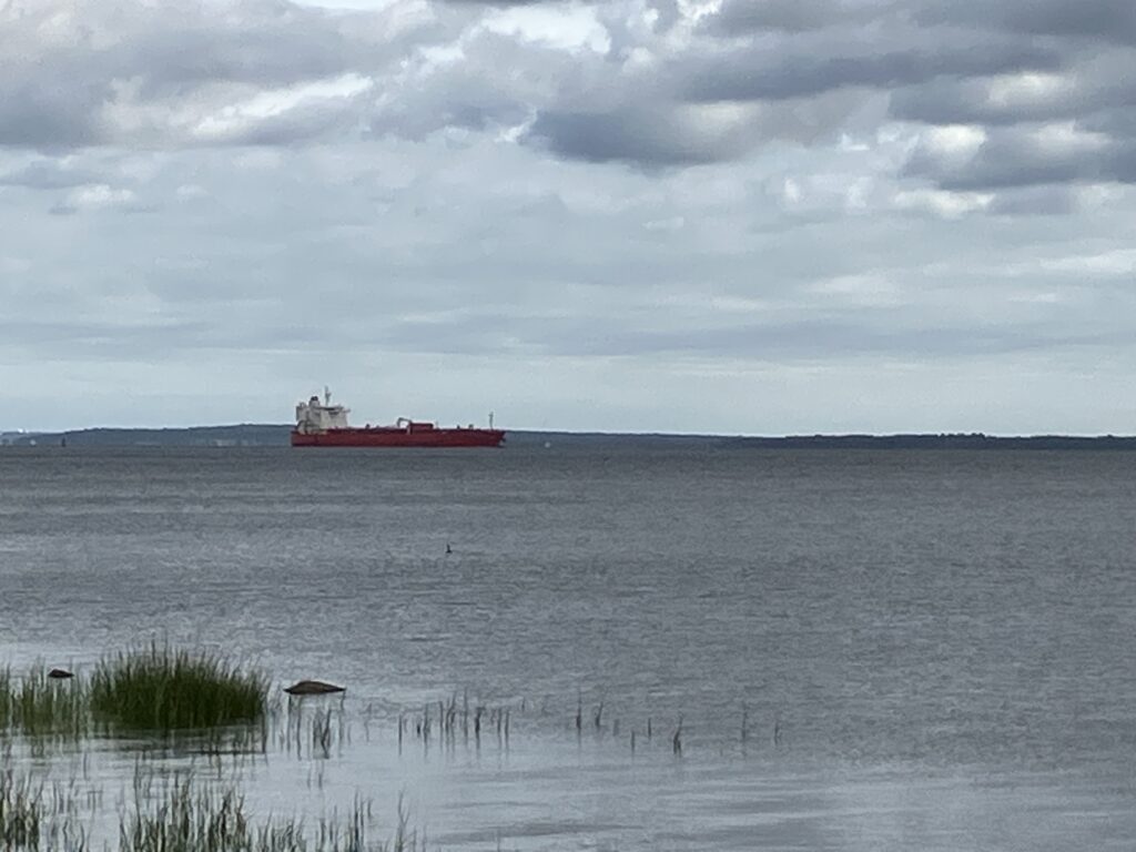 a couple of ships in the water (MyCoast AI)
