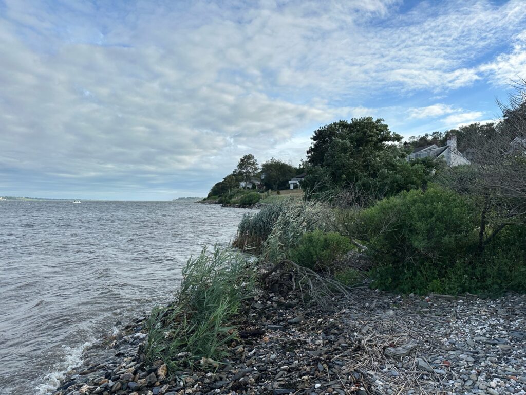 a rocky beach with trees and houses (MyCoast AI)