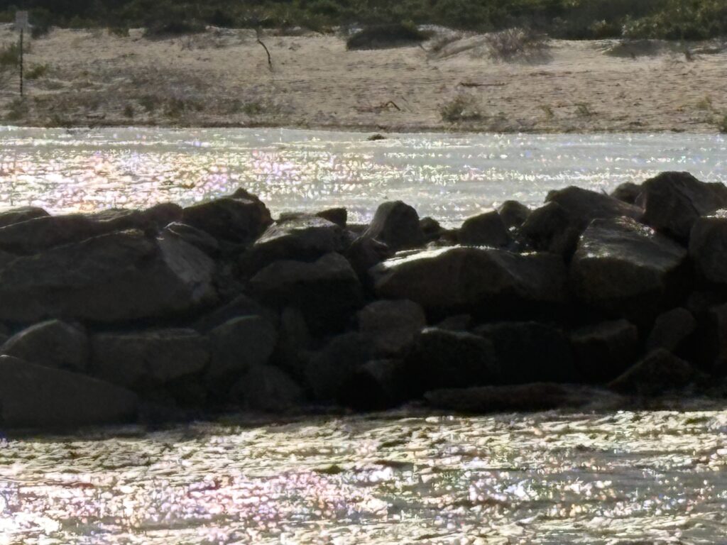 a group of rocks next to a body of water (MyCoast AI)