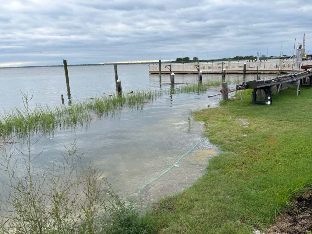 a dock over a body of water (MyCoast AI)