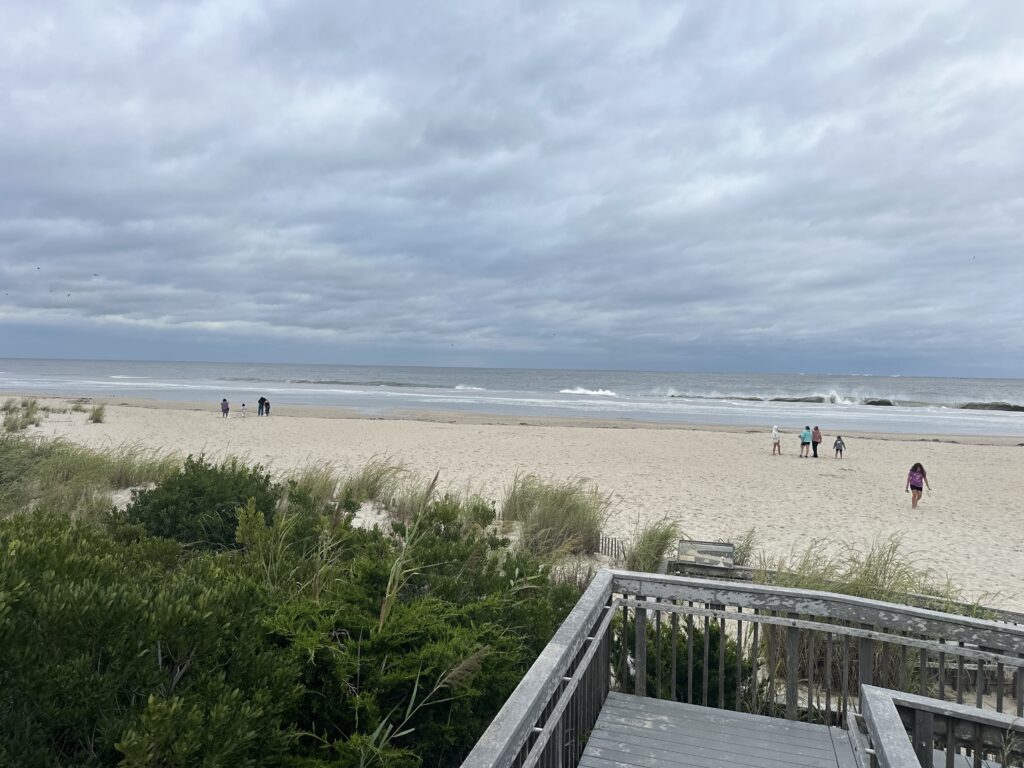 a group of people walking on a beach (MyCoast AI)