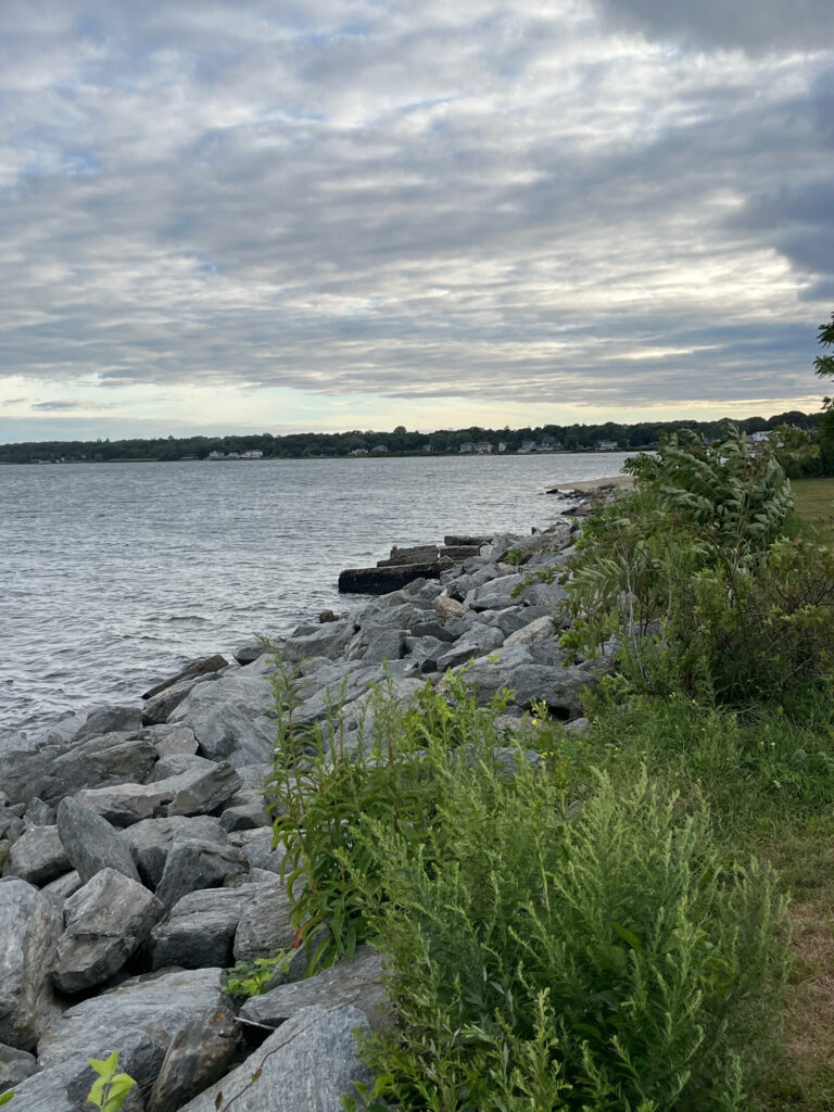 a rocky shore with a body of water and trees (MyCoast AI)