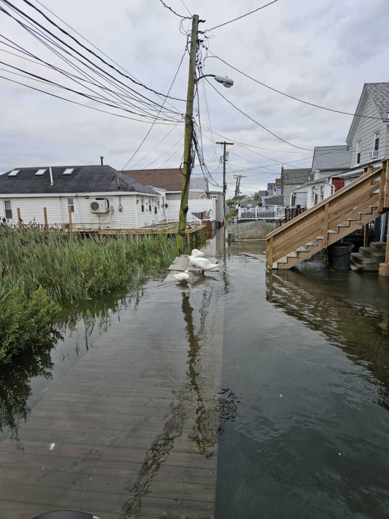 a flooded street with houses and power lines (MyCoast AI)