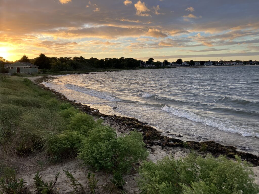 a beach with waves and grass (MyCoast AI)