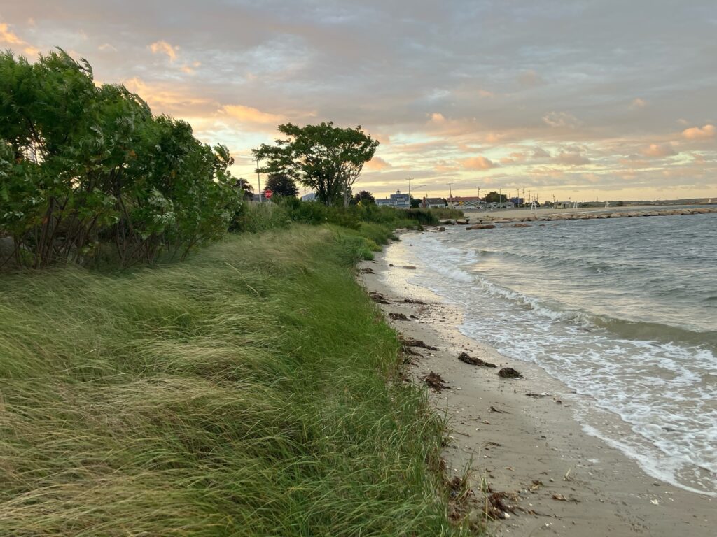 a beach with grass and trees (MyCoast AI)