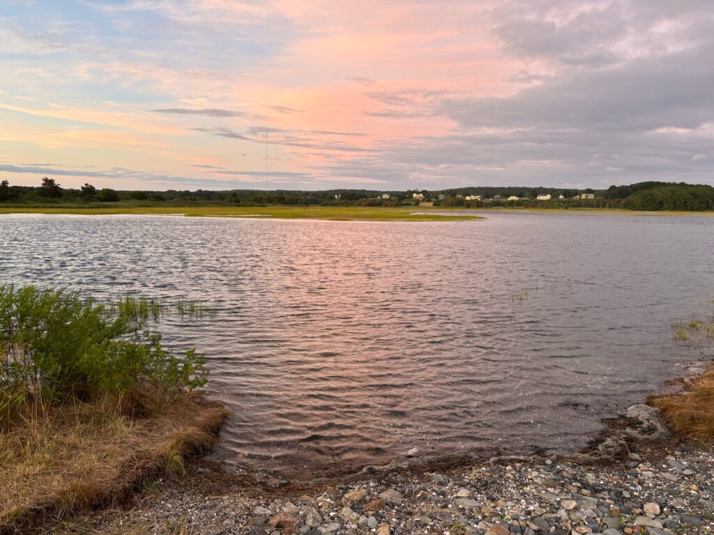 a body of water with rocks and grass around it (MyCoast AI)