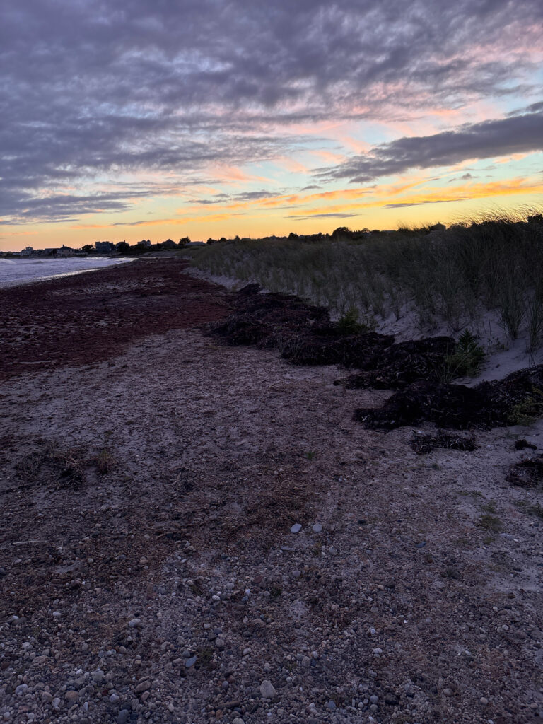 a beach with a sunset (MyCoast AI)