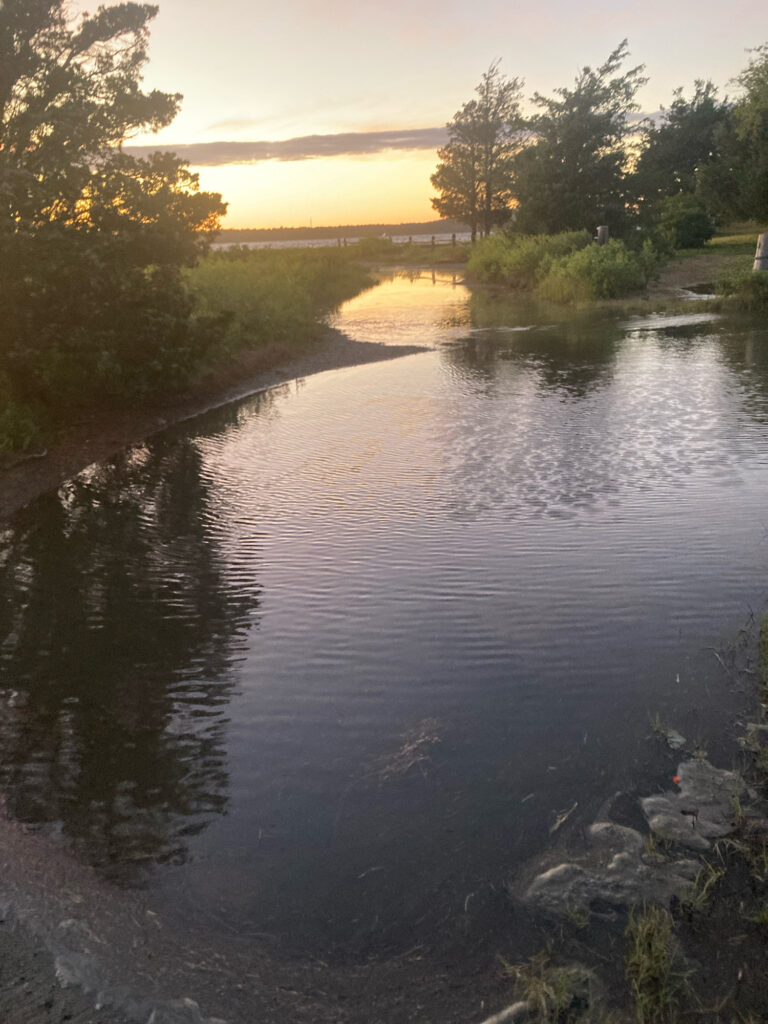 a river with trees and rocks (MyCoast AI)