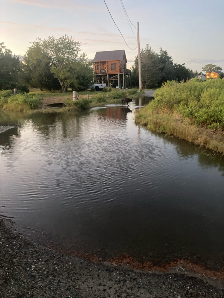 a river with a house in the background (MyCoast AI)