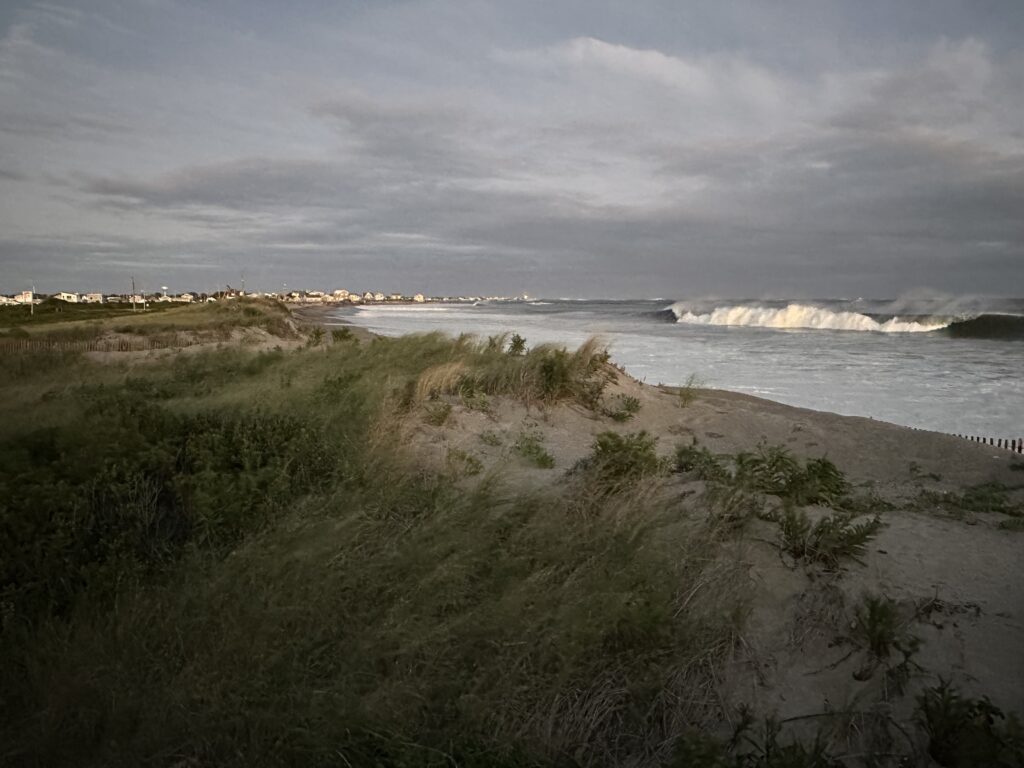 a beach with bushes and water (MyCoast AI)