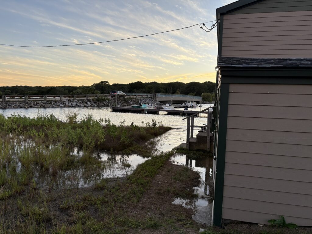 a dock with boats in it (MyCoast AI)