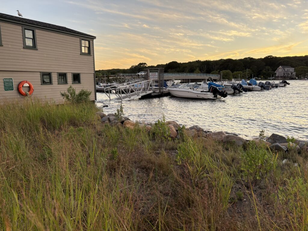 a group of boats sit in a harbor (MyCoast AI)