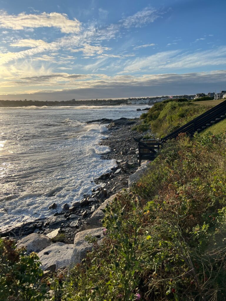 a body of water with a bridge over it (MyCoast AI)