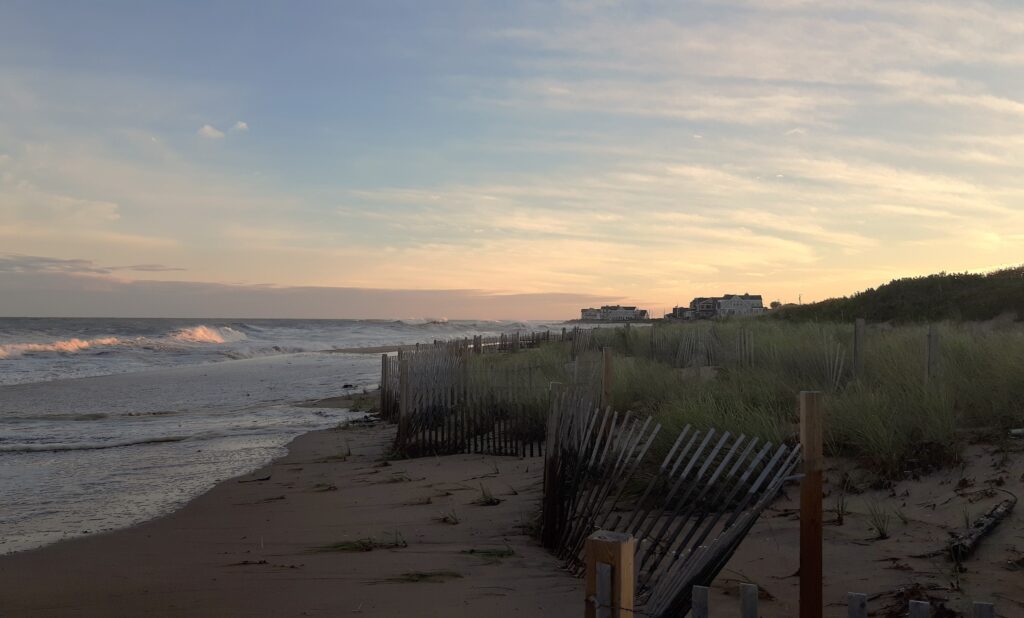 a beach with a bench and grass (MyCoast AI)