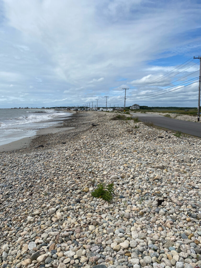 a rocky beach with a road and water in the background (MyCoast AI)
