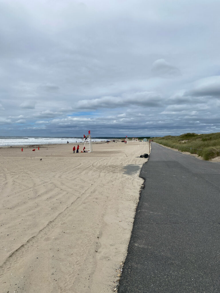 a road next to a beach (MyCoast AI)