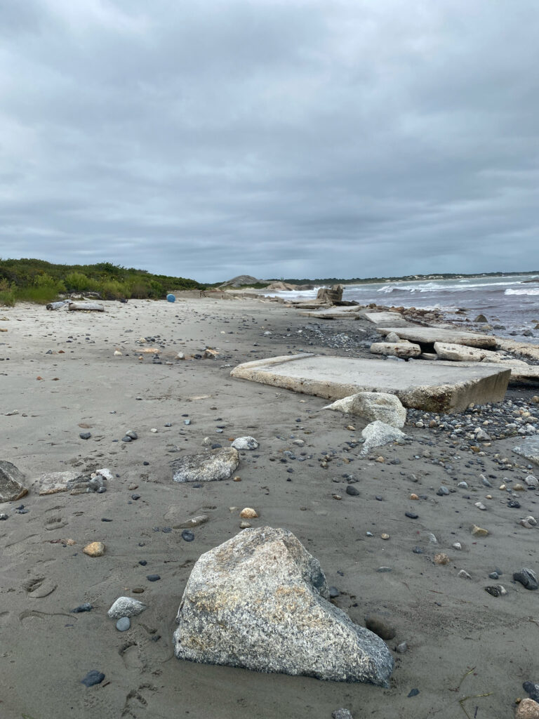 a rocky beach with a large body of water in the background (MyCoast AI)