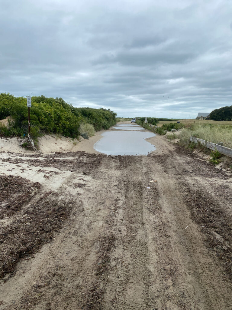 a muddy road with a puddle (MyCoast AI)